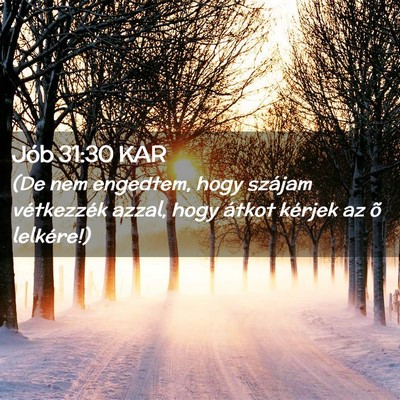Picture 02 - Jób 31:30 KAR - (De nem engedtem, hogy szájam vétkezzék azzal, - Bible Verse Picture
