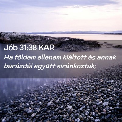 Picture 02 - Jób 31:38 KAR - Ha földem ellenem kiáltott és annak barázdái - Bible Verse Picture