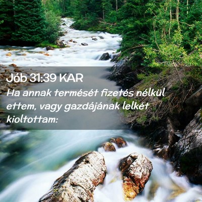 Picture 02 - Jób 31:39 KAR - Ha annak termését fizetés nélkül ettem, vagy - Bible Verse Picture