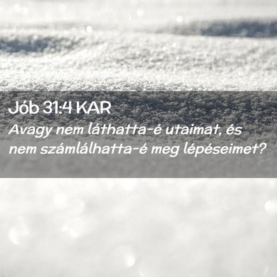 Picture 02 - Jób 31:4 KAR - Avagy nem láthatta-é utaimat, és nem - Bible Verse Picture