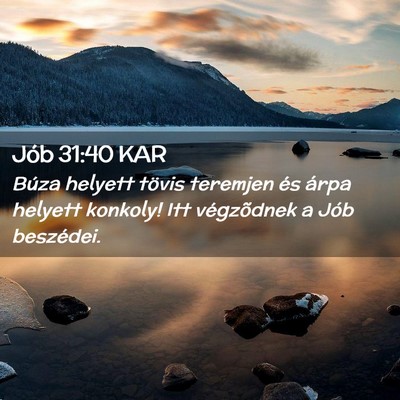 Picture 02 - Jób 31:40 KAR - Búza helyett tövis teremjen és árpa helyett - Bible Verse Picture