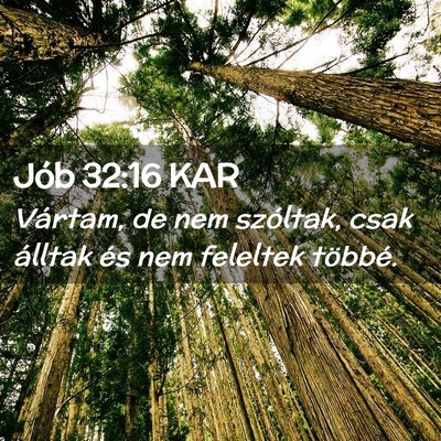 Picture 02 - Jób 32:16 KAR - Vártam, de nem szóltak, csak álltak és nem - Bible Verse Picture