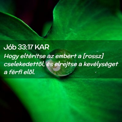 Picture 02 - Jób 33:17 KAR - Hogy eltérítse az embert a [rossz] - Bible Verse Picture