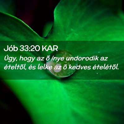 Picture 02 - Jób 33:20 KAR - Úgy, hogy az õ ínye undorodik az ételtõl, - Bible Verse Picture