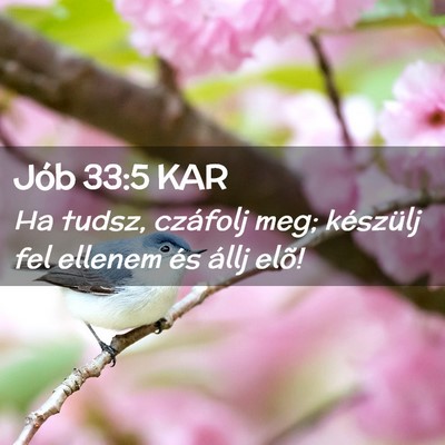Picture 02 - Jób 33:5 KAR - Ha tudsz, czáfolj meg; készülj fel ellenem és - Bible Verse Picture