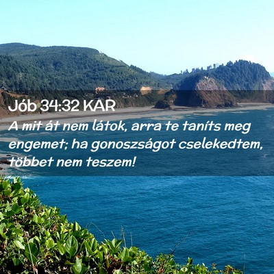 Picture 02 - Jób 34:32 KAR - A mit át nem látok, arra te taníts meg - Bible Verse Picture