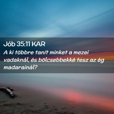 Picture 02 - Jób 35:11 KAR - A ki többre tanít minket a mezei vadaknál, és - Bible Verse Picture