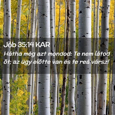 Picture 02 - Jób 35:14 KAR - Hátha még azt mondod: Te nem látod õt; az - Bible Verse Picture