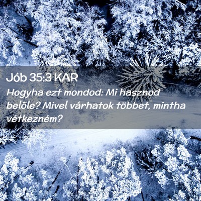 Picture 02 - Jób 35:3 KAR - Hogyha ezt mondod: Mi hasznod belõle? Mivel - Bible Verse Picture