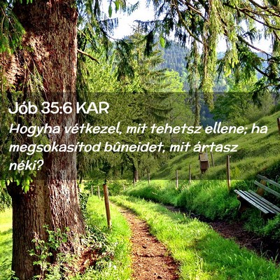 Picture 02 - Jób 35:6 KAR - Hogyha vétkezel, mit tehetsz ellene; ha - Bible Verse Picture