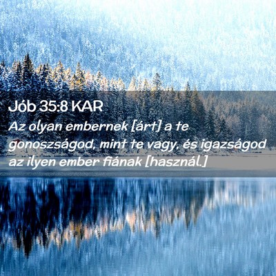 Picture 02 - Jób 35:8 KAR - Az olyan embernek [árt] a te gonoszságod, mint - Bible Verse Picture