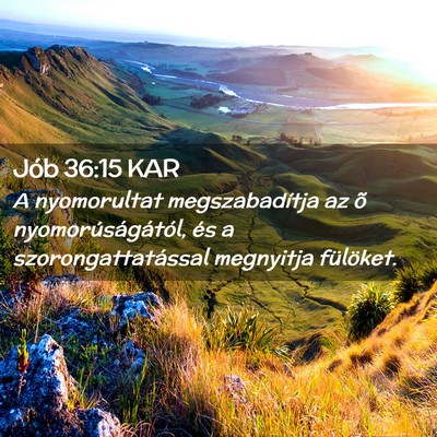 Picture 02 - Jób 36:15 KAR - A nyomorultat megszabadítja az õ - Bible Verse Picture