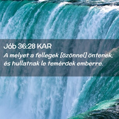 Picture 02 - Jób 36:28 KAR - A melyet a fellegek [özönnel] öntenek, és - Bible Verse Picture