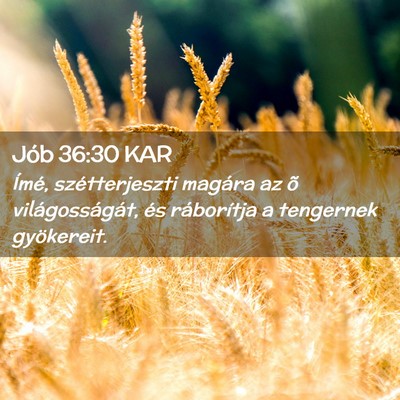 Picture 02 - Jób 36:30 KAR - Ímé, szétterjeszti magára az õ - Bible Verse Picture