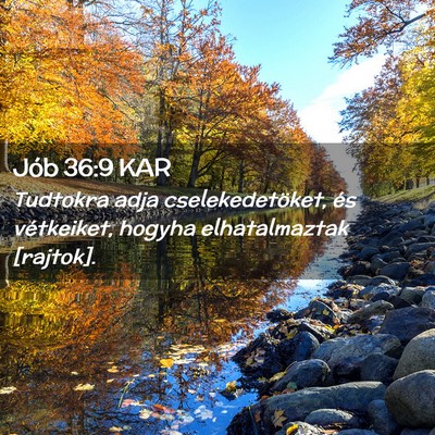 Picture 02 - Jób 36:9 KAR - Tudtokra adja cselekedetöket, és vétkeiket, - Bible Verse Picture