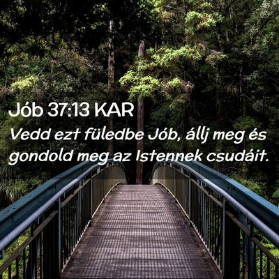 Picture 02 - Jób 37:13 KAR - Vedd ezt füledbe Jób, állj meg és gondold meg - Bible Verse Picture