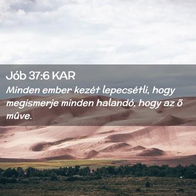 Picture 02 - Jób 37:6 KAR - Minden ember kezét lepecsétli, hogy megismerje - Bible Verse Picture