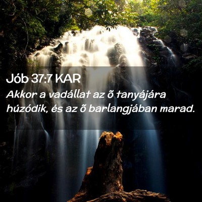 Picture 02 - Jób 37:7 KAR - Akkor a vadállat az õ tanyájára húzódik, - Bible Verse Picture