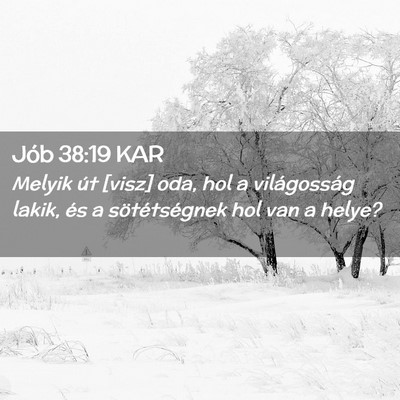 Picture 02 - Jób 38:19 KAR - Melyik út [visz] oda, hol a világosság lakik, - Bible Verse Picture