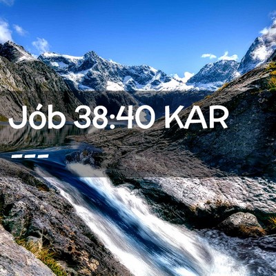 Picture 02 - Jób 38:40 KAR -  - Bible Verse Picture