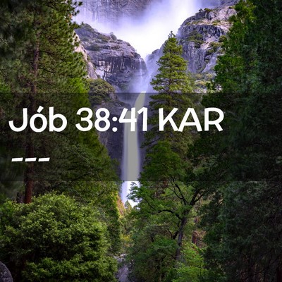 Picture 02 - Jób 38:41 KAR -  - Bible Verse Picture