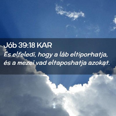 Picture 02 - Jób 39:18 KAR - És elfeledi, hogy a láb eltiporhatja, és a - Bible Verse Picture