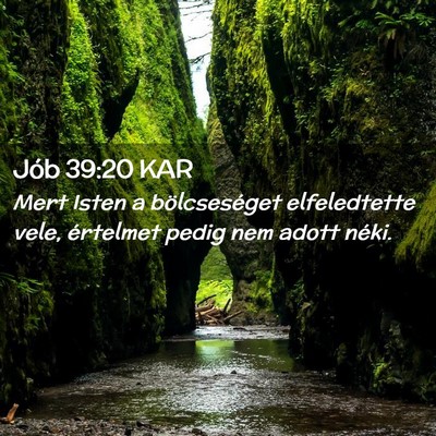 Picture 02 - Jób 39:20 KAR - Mert Isten a bölcseséget elfeledtette vele, - Bible Verse Picture