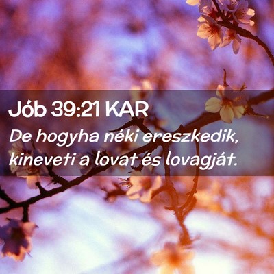 Picture 02 - Jób 39:21 KAR - De hogyha néki ereszkedik, kineveti a lovat és - Bible Verse Picture