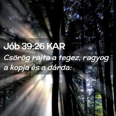 Picture 02 - Jób 39:26 KAR - Csörög rajta a tegez, ragyog a kopja és a - Bible Verse Picture
