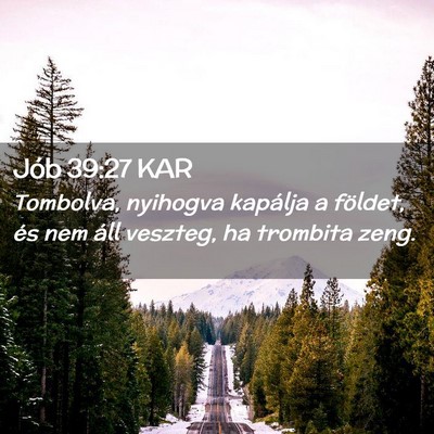 Picture 02 - Jób 39:27 KAR - Tombolva, nyihogva kapálja a földet, és nem - Bible Verse Picture