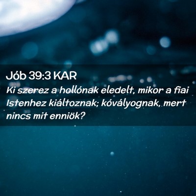 Picture 02 - Jób 39:3 KAR - Ki szerez a hollónak eledelt, mikor a fiai - Bible Verse Picture