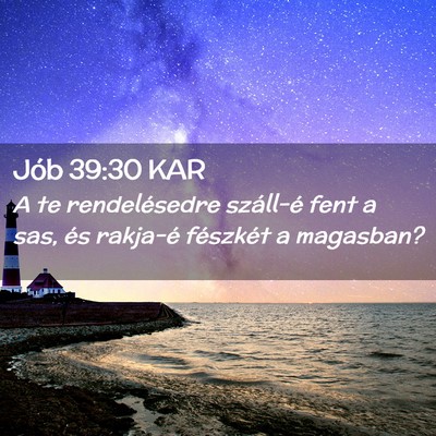 Picture 02 - Jób 39:30 KAR - A te rendelésedre száll-é fent a sas, és - Bible Verse Picture