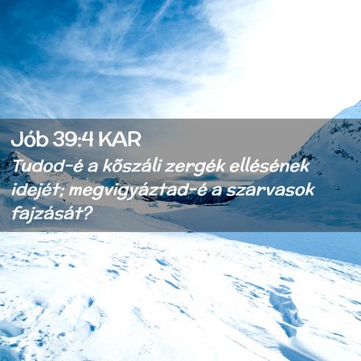 Picture 02 - Jób 39:4 KAR - Tudod-é a kõszáli zergék ellésének idejét; - Bible Verse Picture