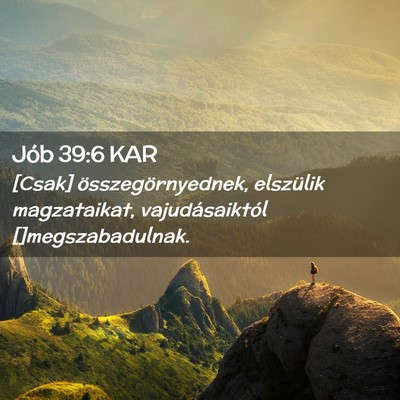 Picture 02 - Jób 39:6 KAR - [Csak] összegörnyednek, elszülik magzataikat, - Bible Verse Picture