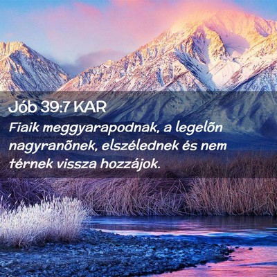 Picture 02 - Jób 39:7 KAR - Fiaik meggyarapodnak, a legelõn nagyranõnek, - Bible Verse Picture