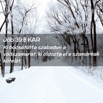 Picture 02 - Jób 39:8 KAR - Ki bocsátotta szabadon a vadszamarat, ki oldozta - Bible Verse Picture