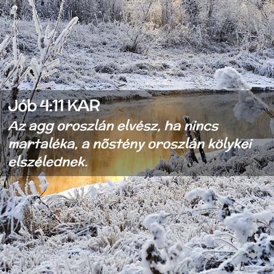 Picture 02 - Jób 4:11 KAR - Az agg oroszlán elvész, ha nincs martaléka, a - Bible Verse Picture