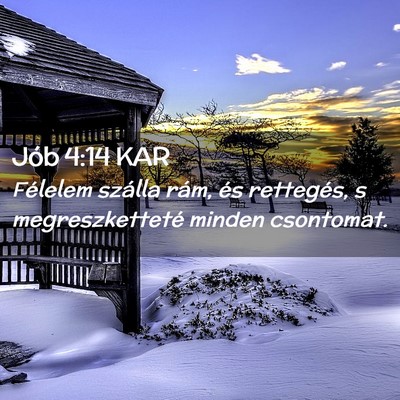 Picture 02 - Jób 4:14 KAR - Félelem szálla rám, és rettegés, s - Bible Verse Picture