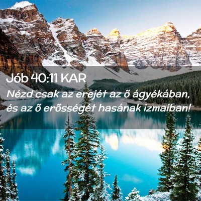 Picture 02 - Jób 40:11 KAR - Nézd csak az erejét az õ ágyékában, és az - Bible Verse Picture