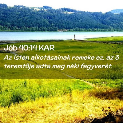Picture 02 - Jób 40:14 KAR - Az Isten alkotásainak remeke ez, az õ - Bible Verse Picture