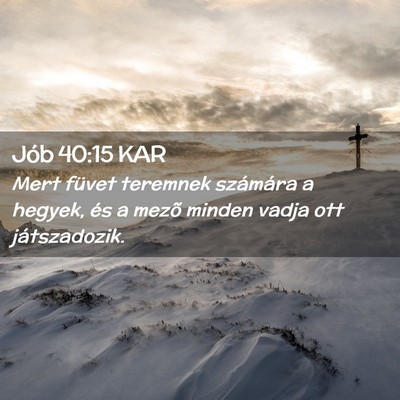 Picture 02 - Jób 40:15 KAR - Mert füvet teremnek számára a hegyek, és a - Bible Verse Picture
