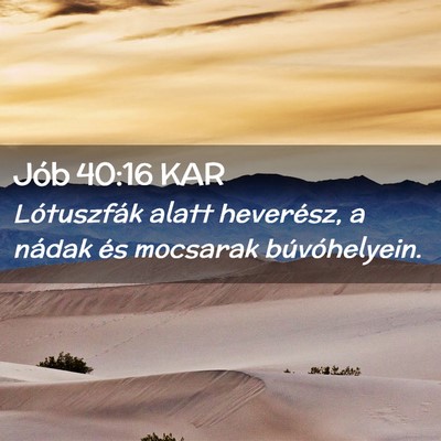 Picture 02 - Jób 40:16 KAR - Lótuszfák alatt heverész, a nádak és - Bible Verse Picture