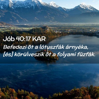 Picture 02 - Jób 40:17 KAR - Befedezi õt a lótuszfák árnyéka, [és] - Bible Verse Picture