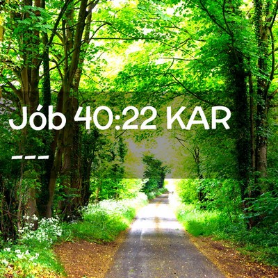 Picture 02 - Jób 40:22 KAR -  - Bible Verse Picture