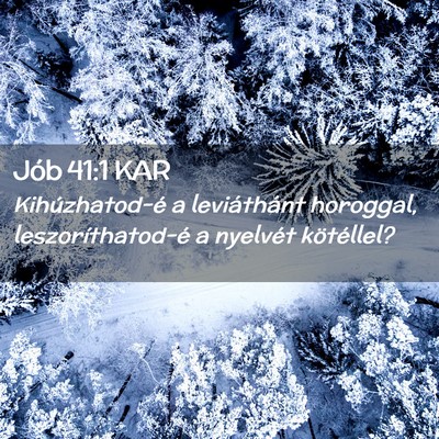Picture 02 - Jób 41:1 KAR - Kihúzhatod-é a leviáthánt horoggal, - Bible Verse Picture