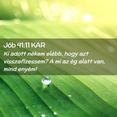 Picture 02 - Jób 41:11 KAR - Ki adott nékem elébb, hogy azt visszafizessem? - Bible Verse Picture