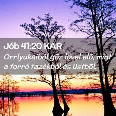 Picture 02 - Jób 41:20 KAR - Orrlyukaiból gõz lövel elõ, mint a forró - Bible Verse Picture