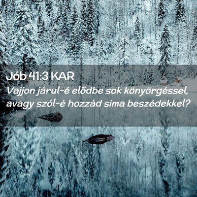 Picture 02 - Jób 41:3 KAR - Vajjon járul-é elõdbe sok könyörgéssel, - Bible Verse Picture