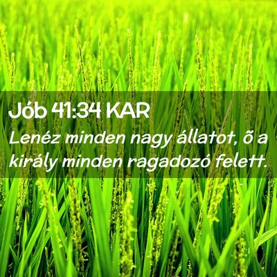 Picture 02 - Jób 41:34 KAR - Lenéz minden nagy állatot, õ a király minden - Bible Verse Picture