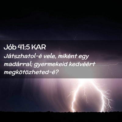 Picture 02 - Jób 41:5 KAR - Játszhatol-é vele, miként egy madárral; - Bible Verse Picture